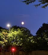 IMG_7003