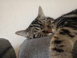 IMG_20250817_140116