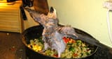 parrot stew