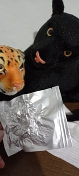 IMG_20250807_205854032