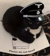1755842945278363