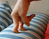 fapfapfapfapfapfapfapfapfapfapfapfafpp