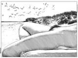 white_boy_summer_2025