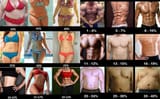 Body-Fat-Percentage