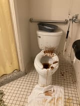 Thread 513417282 OP Image