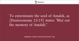 amalek6