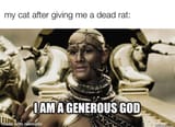 cat_after_bringing_dead_rat