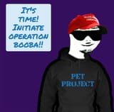 Pet-Project