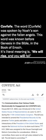 COVFEFE_ACT_19082025010758