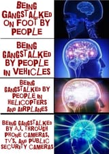 gang-stalkers