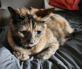 IMG_175555224489