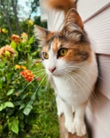 IMG_1755558803838