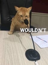 wouldnot