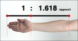 ArmGoldenRatio-1703769574