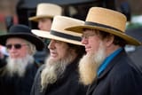beardoholic.com_