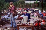 Jonestown_1-1