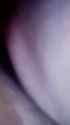pig video madyar_thumb.jpg