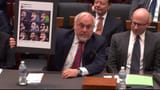 Happy Merchant Senate Hearing