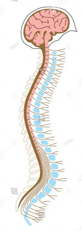 Thread 513490741 OP Image