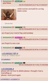 Thread 513493983 OP Image