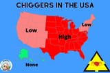 Chiggers-in-The-USA-guide