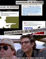 War is peace