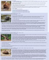 BEAVER-on-Quebec
