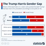 women vote dumb