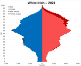 White_Irish_population_pyramid_2021.svg