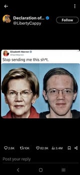 pocahontas look