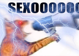 sexo cat extreme