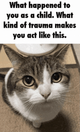 what-happened-what-happened-to-you-as-a-child