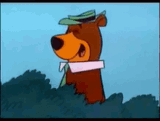 yogi-bear