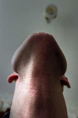 Thread 513569294 OP Image