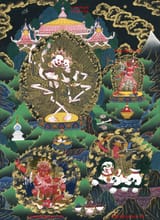 Citipati-S