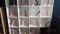 collection_thumb.jpg