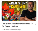 Screenshot 2024-07-18 at 23-25-28 Paul Saladino MD - YouTube