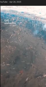 iran_drone