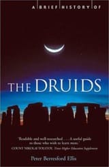 Screenshot 2025-08-19 at 22-19-31 A Brief History of the Druids book by Peter Berresford Ellis