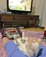 FB_IMG_1754734065913