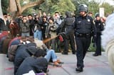 Uc_Davis_Pepper_Spray_Incident