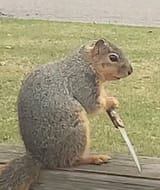 IMG_0491