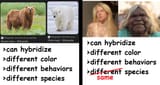 species2