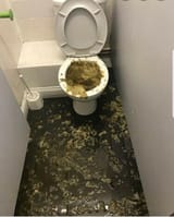 toiletcleaner