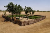 Panos_00050320