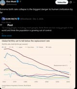 Screenshot 2025-08-20 at 14-23-05 Elon Musk on X Extreme birth rate collapse is the biggest danger to human civilization by far _ X