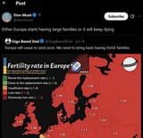 Screenshot 2025-08-20 at 14-25-15 Elon Musk on X Either Europe starts having large families or it will keep dying _ X