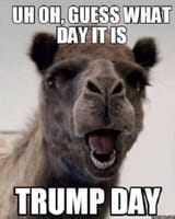 trump_day