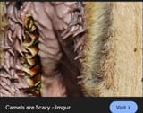 Screenshot_20250820-111513