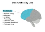 atrophied jeet brain